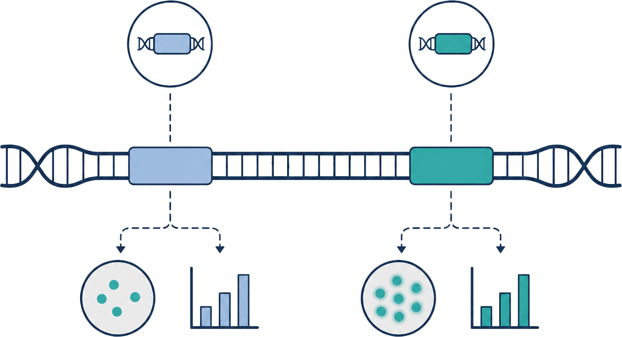 Payload expression