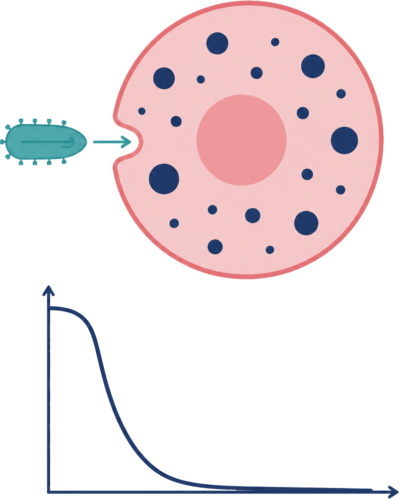 Tumor cell validation