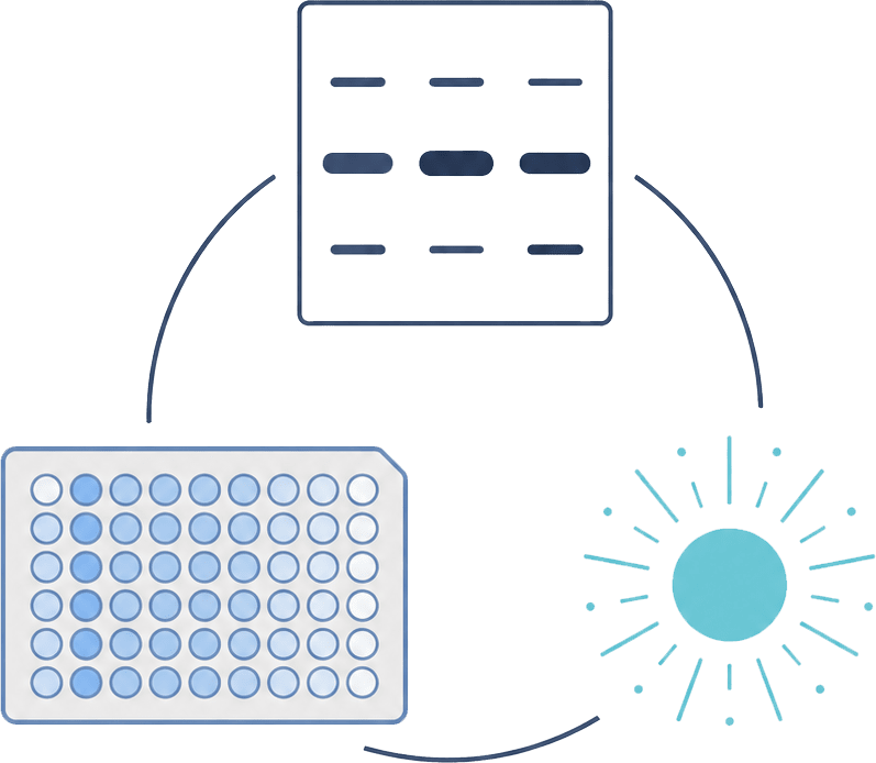 Payload expression analysis