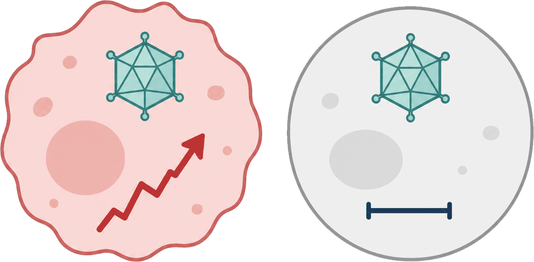 Tumor cell activity