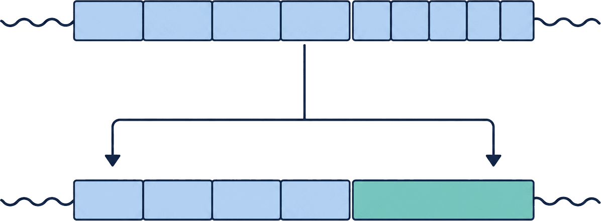 Alphavirus sequence design