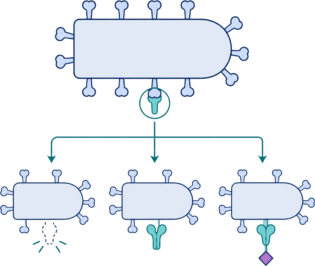 G protein engineering