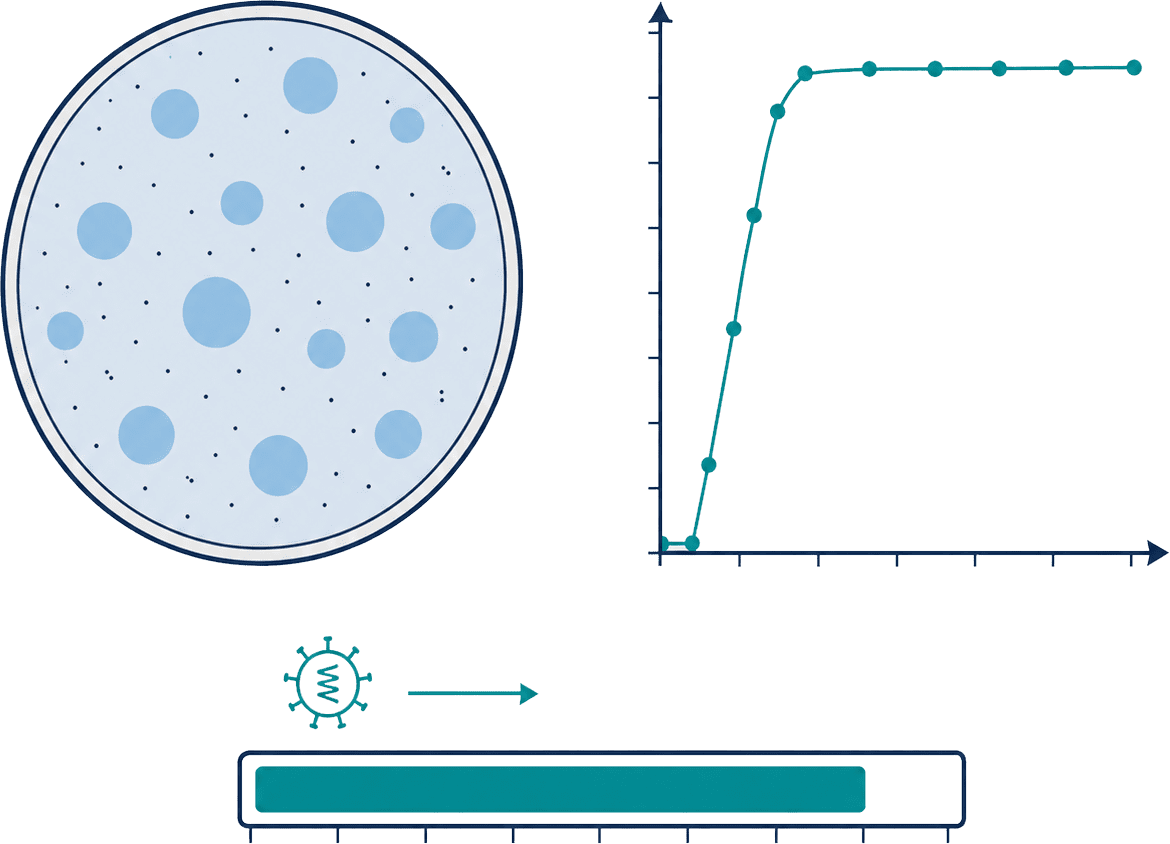 VSV titer testing