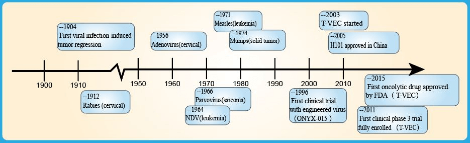 Brief history of oncolytic virus