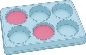 Cell model systems