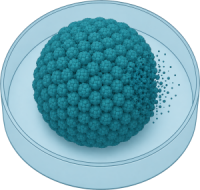 Replication and titer assays
