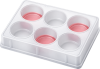 2D tumor cell panel