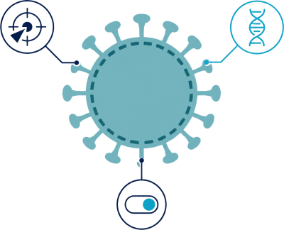 Design and service routing