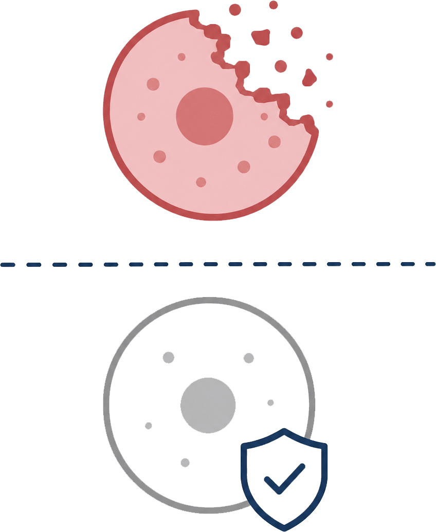 Cytotoxicity and safety boundary testing