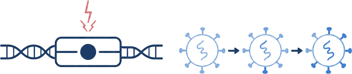 Genetic stability and escape checks