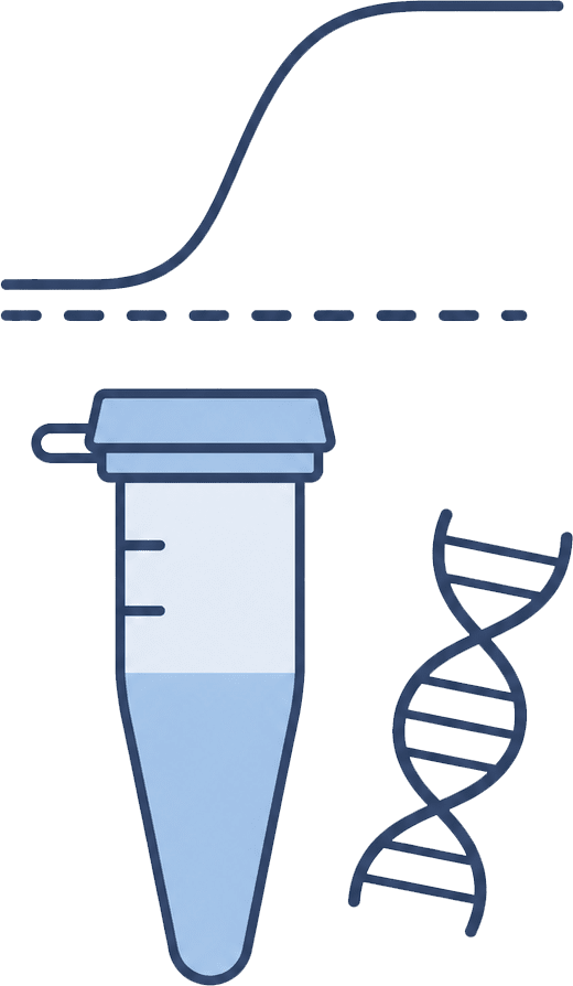 qPCR analysis