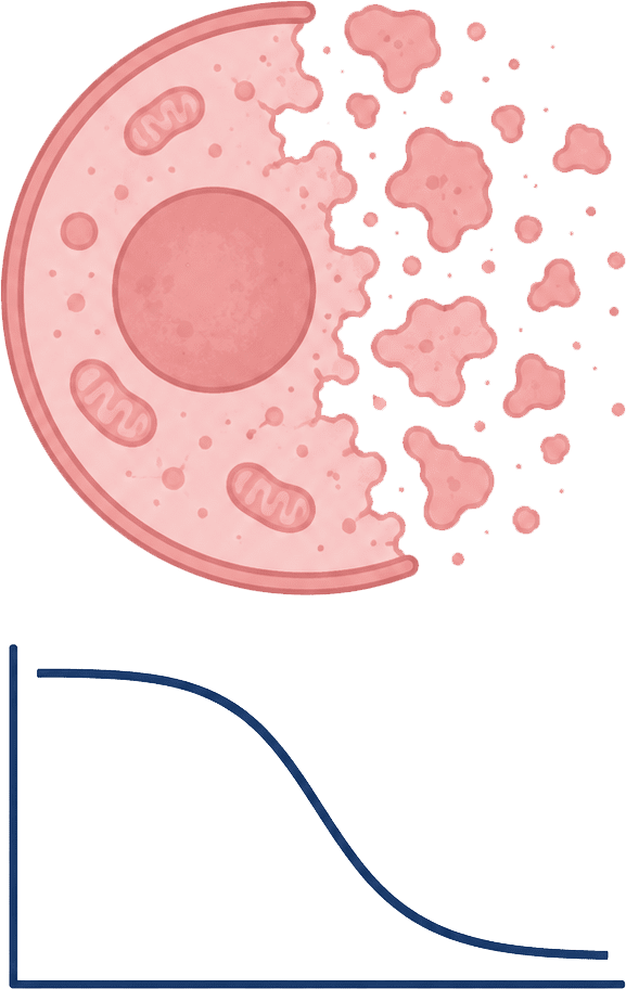 Potency assays