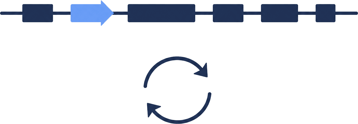 Genetic stability monitoring