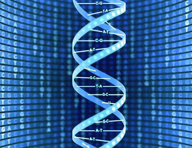 Whole Exome Sequencing