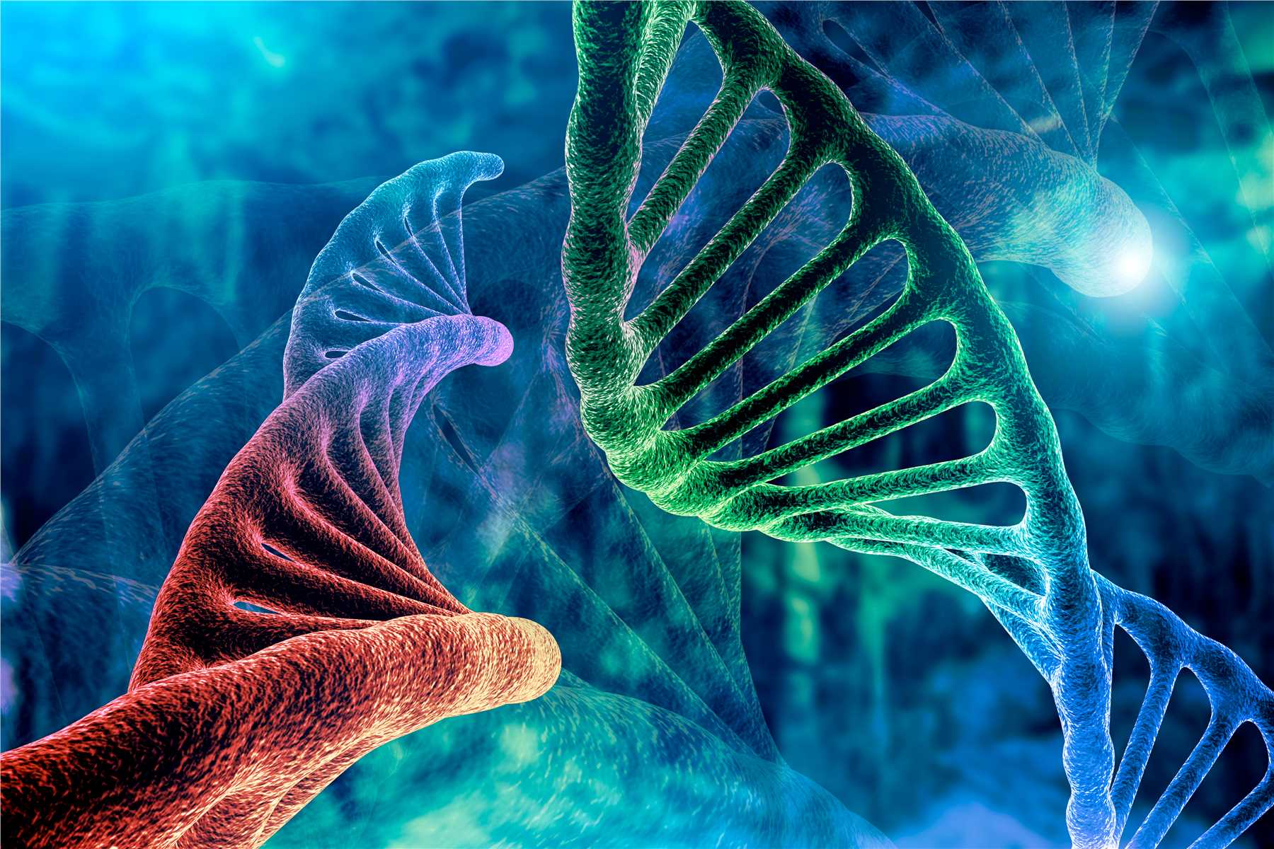 Single-cell bisulfite sequencing is an accurate and reproducible method for genome-wide methylation analysis. (Creative Biolabs Authorized)