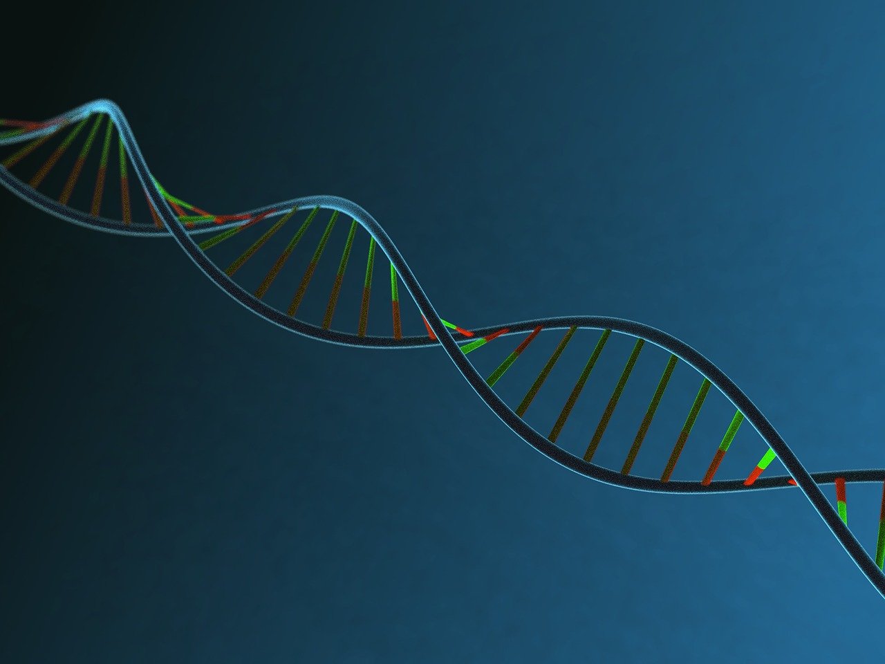 Single Cell Sequencing Service for Cancer