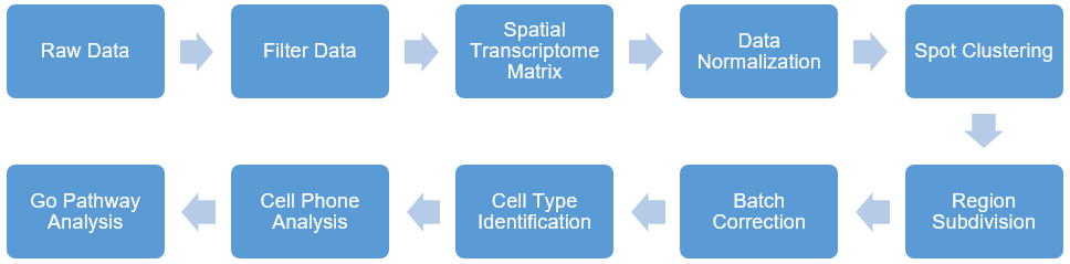 Data analysis for spatial transcriptome seq. (Creative Biolabs Original)