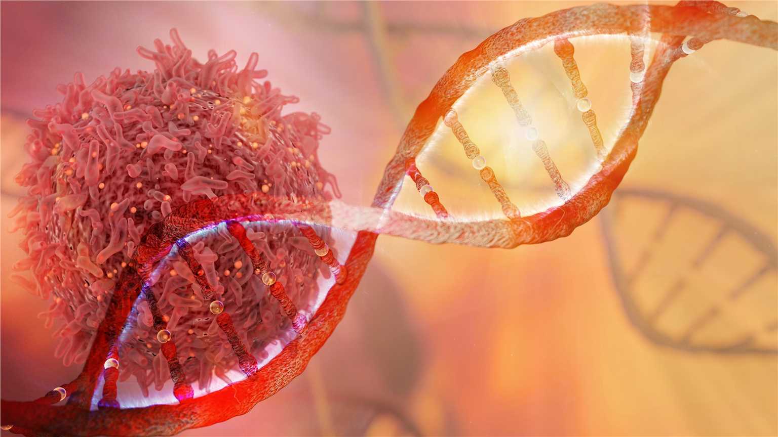 Tumor Mutational Burden (TMB) Analysis for Response to Checkpoint Immunotherapy (Creative Biolabs Authorized)
