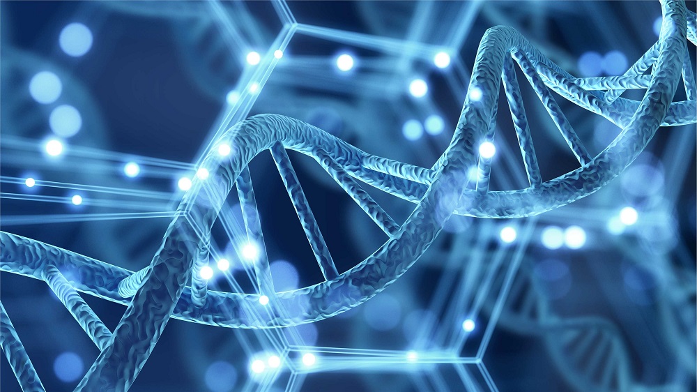 Whole Exome Sequencing for Variants Analysis (Creative Biolabs Authorized)
