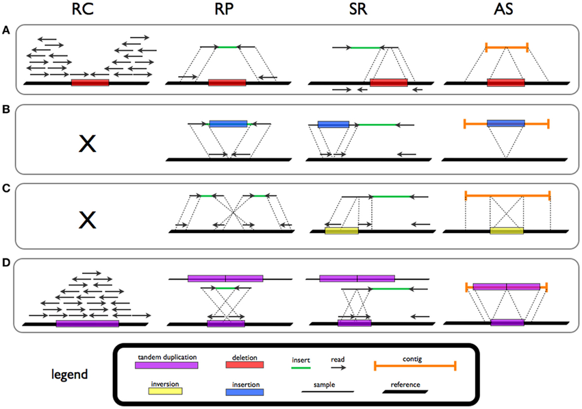 Fig1. Structural variant types.