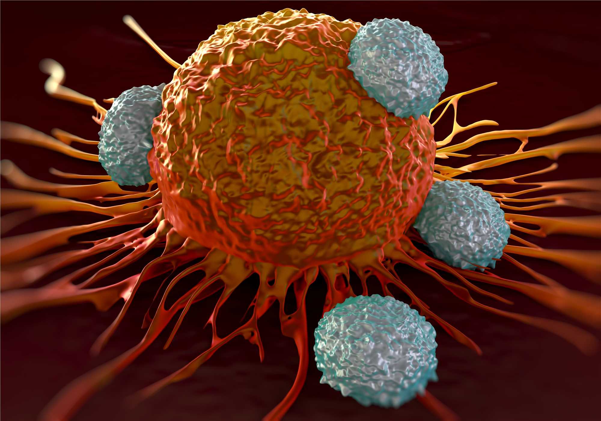 Whole Exome Sequencing for Tumor-Specific Neoantigens Discovery (Creative Biolabs Authorized)