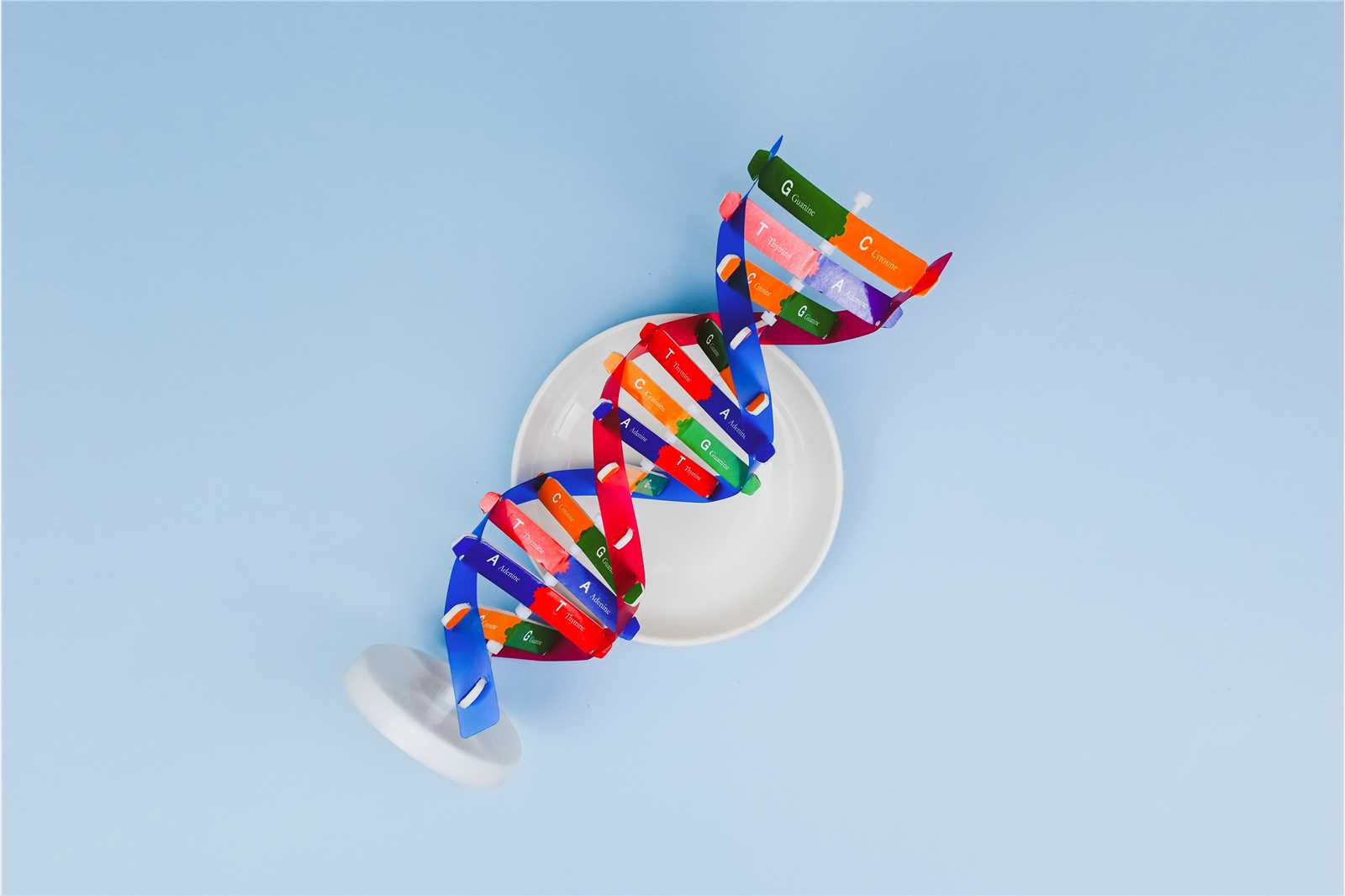 Whole Exome Sequencing (WES) Service (Creative Biolabs Authorized)