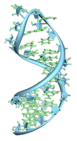 TmRNA structure.