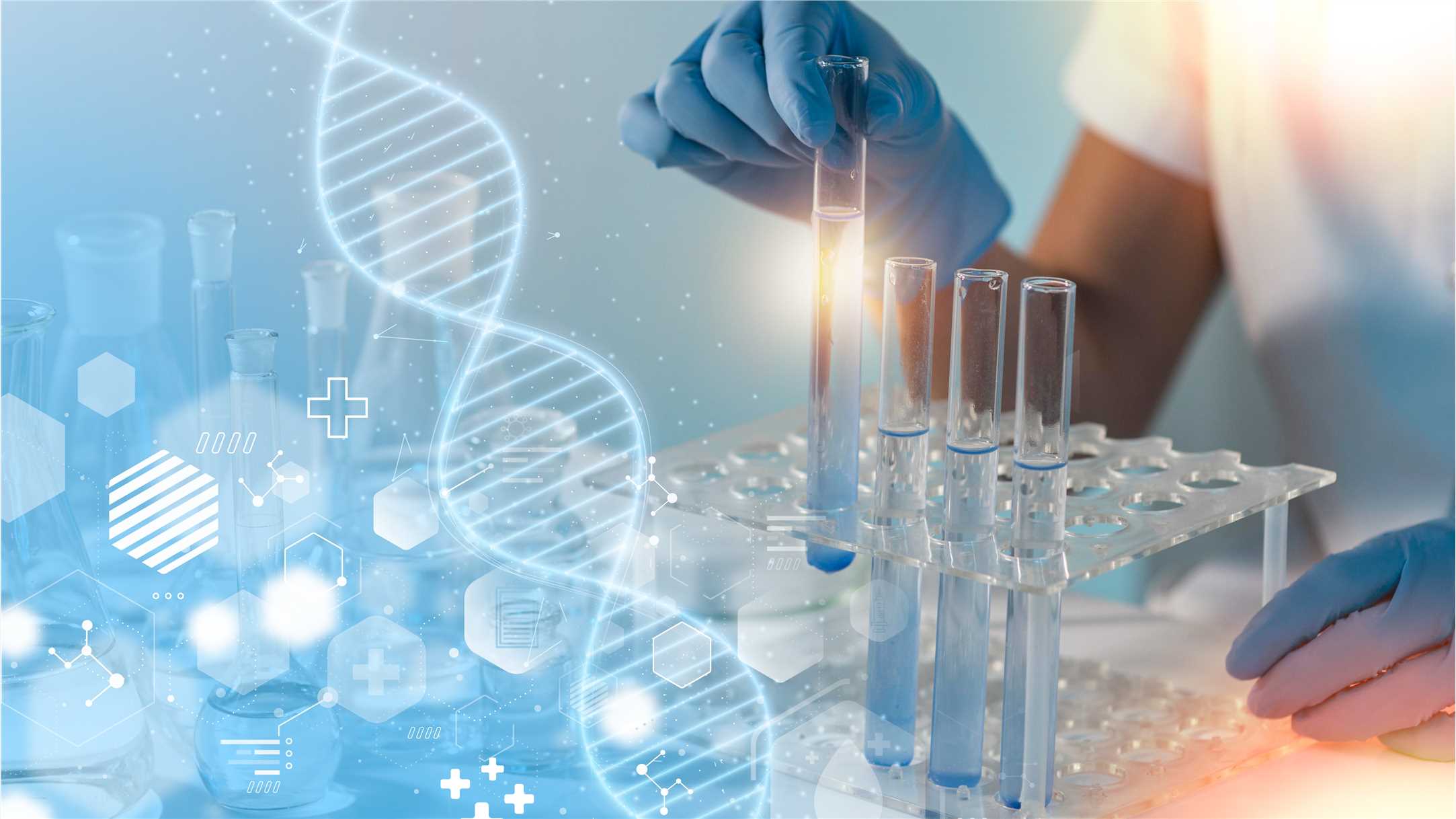 Circular RNA Sequencing (CircRNA-seq) Service (Creative Biolabs Authorized)