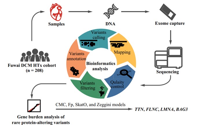 Fig.1 Major processes for WES.