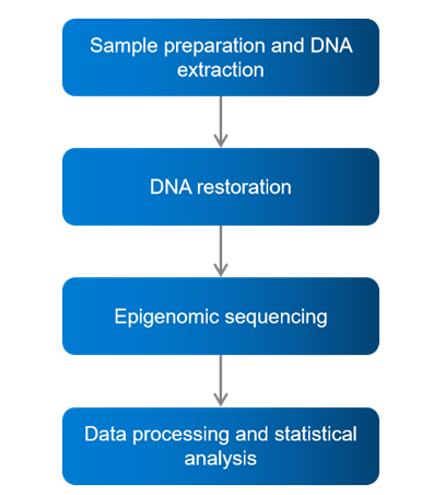 Fig.1 FFPE-seq workflow. (Creative Biolabs Original)