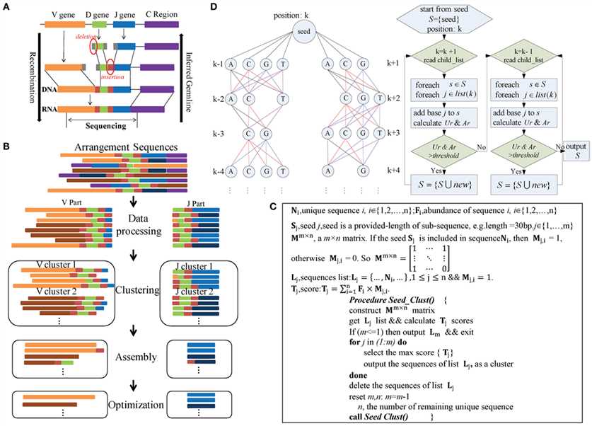 Fig. 1 Immune repertoire germline analysis workflow.