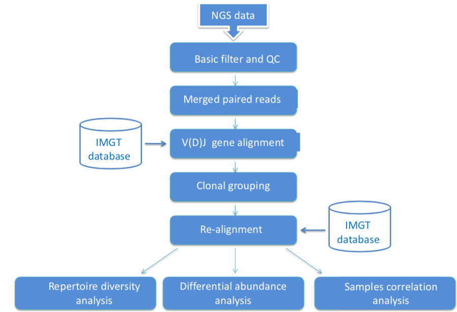 Bioinformatics Analysis for Rep-seq. (Creative Biolabs Original)