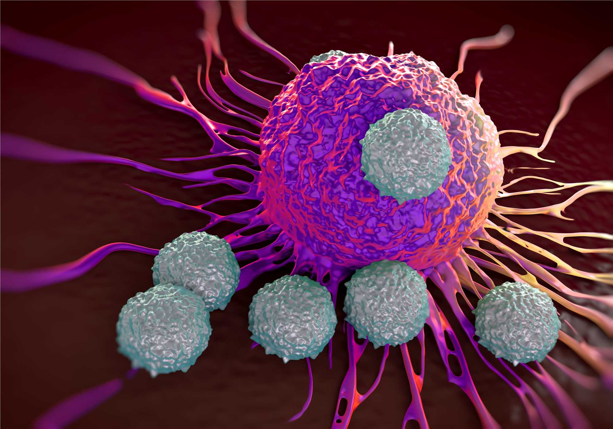 Cancer 3D Model Development (Creative Biolabs Authorized)