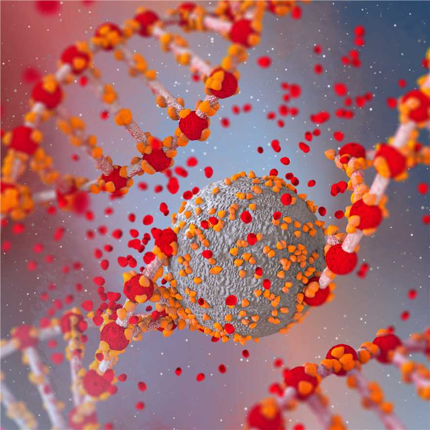 Single-Cell DNA Methylation Sequencing (Creative Biolabs Authorized)