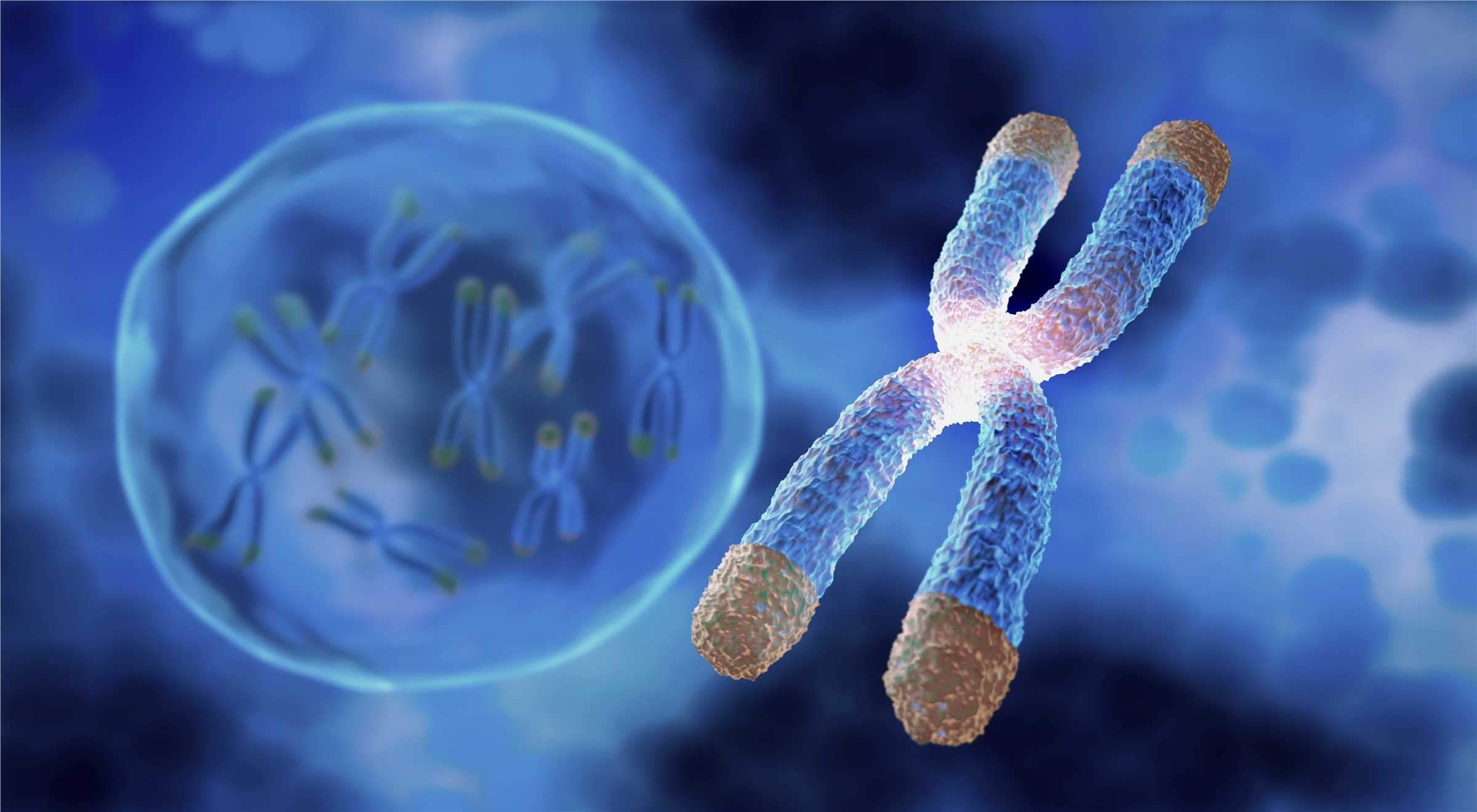 Single-cell ATAC Sequencing (Creative Biolabs Authorized)