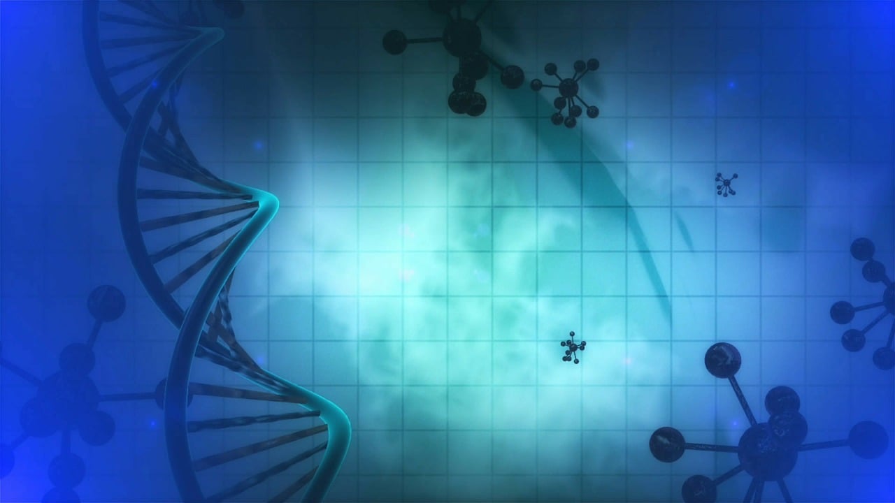 Epigenomics Service