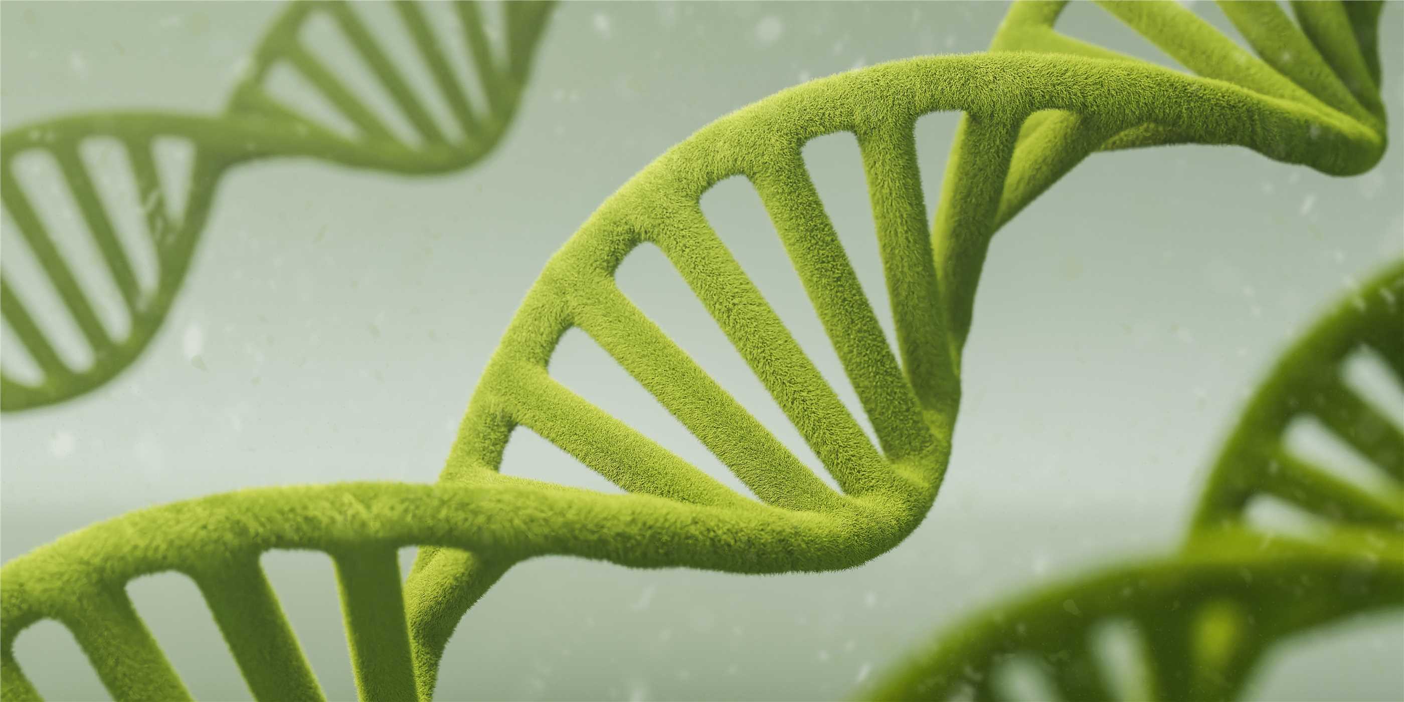Targeted Sequencing Bioinformatics Analysis (Creative Biolabs Authorized)