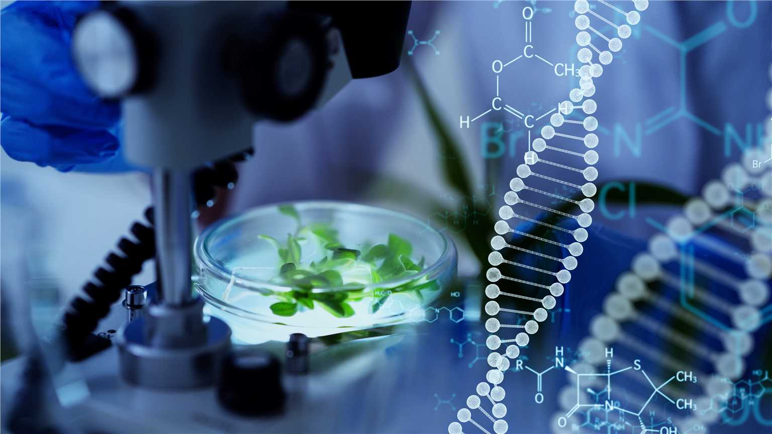 Whole Genome Sequencing (WGS) Bioinformatics Analysis (Creative Biolabs Authorized)