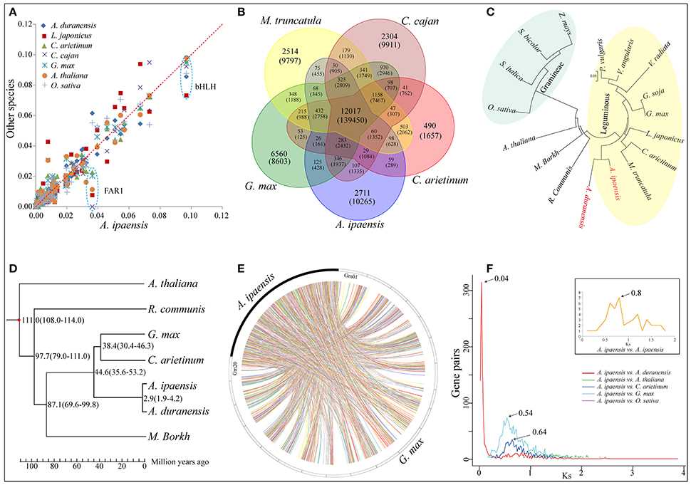 Whole Genome Sequencing (WGS) Bioinformatics Analysis