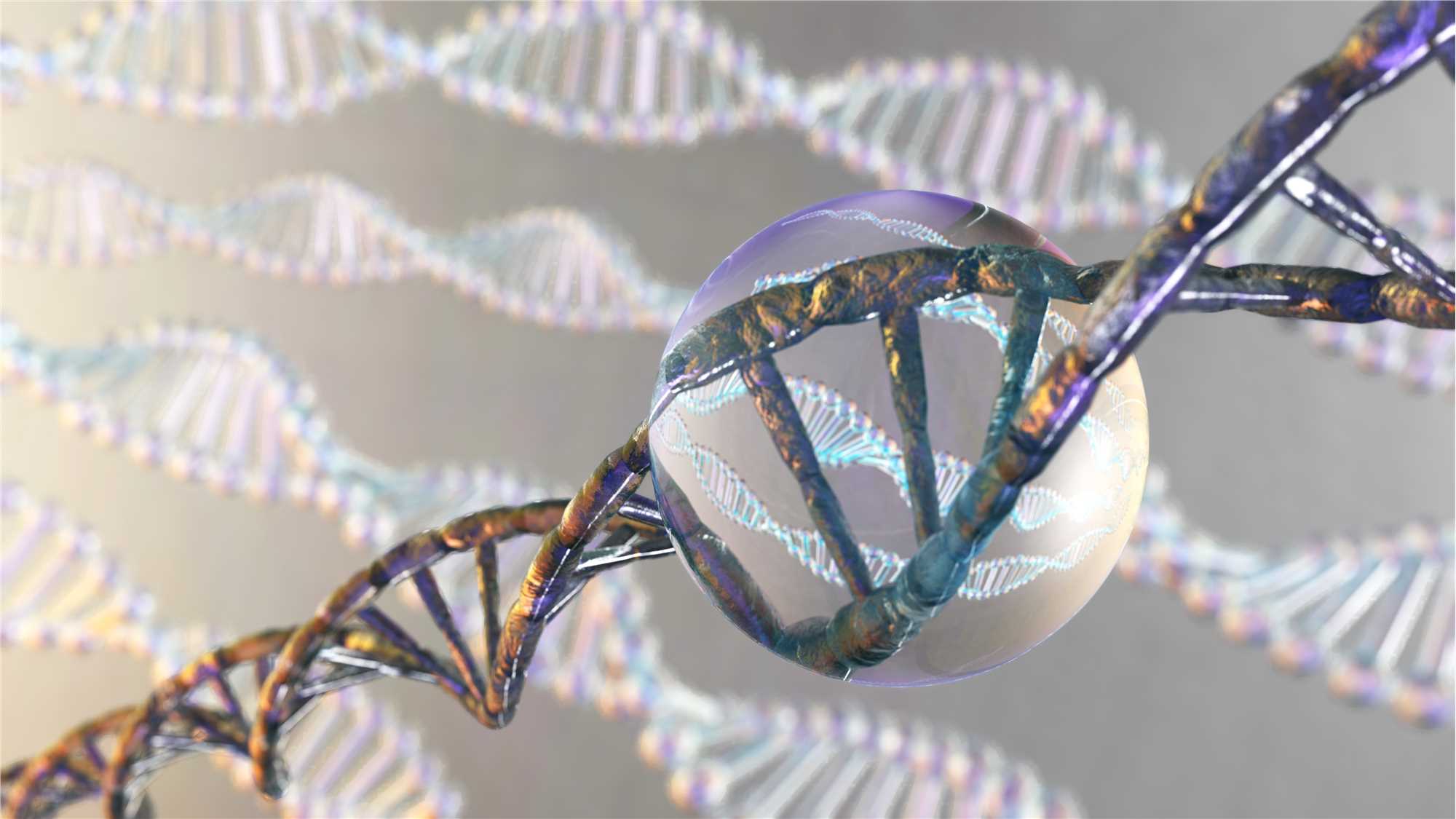 General principle of WGBS. (Creative Biolabs Authorized)