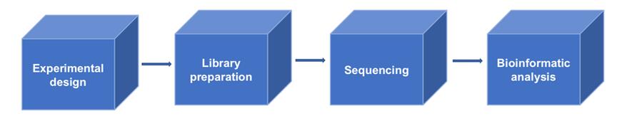 Whole genome sequencing workflow. (Creative Biolabs Original)