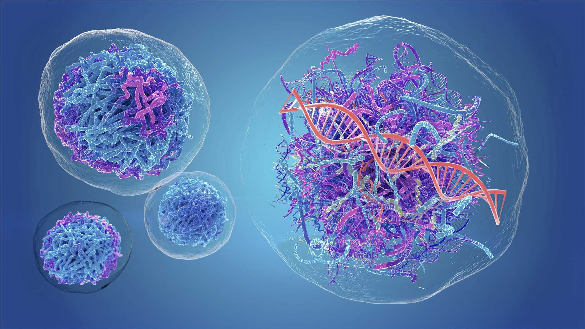 metagenomics sequencing service for cancer (Creative Biolabs Authorized)