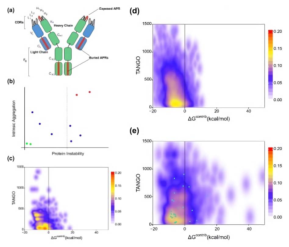 Computational assessment of aggregation potential in antibody crystalline forms.