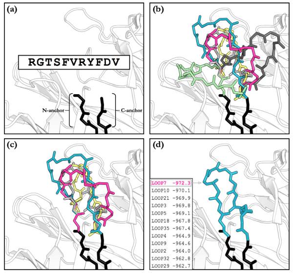 The main steps in an H3 loop modelling algorithm.