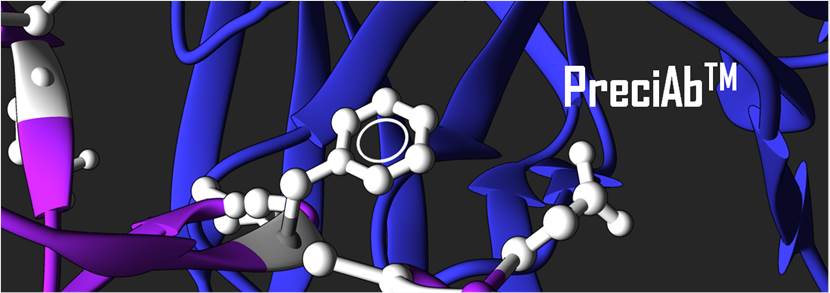 PreciAb™ Platform(Creative Biolabs Original)