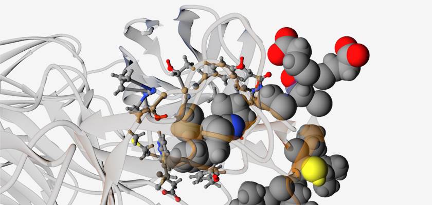 PreciAb™ Platform(Creative Biolabs Original)