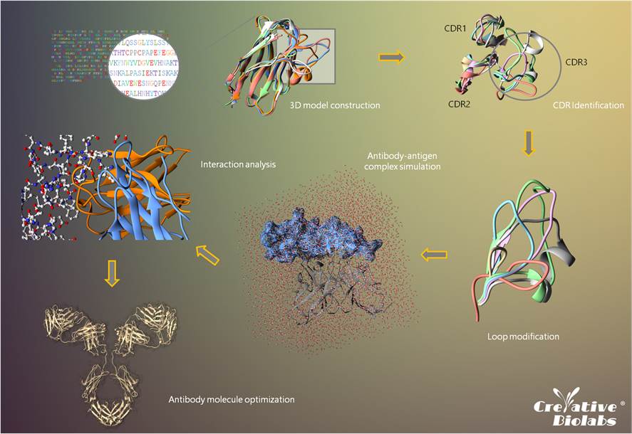 PreciAb™ Platform(Creative Biolabs Original)
