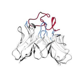 Epitope-specific Antibody Design (Creative Biolabs Authorized)