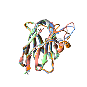Structure-based Antibody Reformatting (Creative Biolabs Authorized)