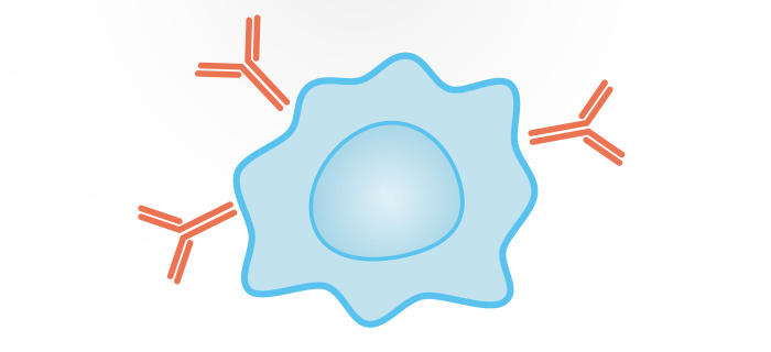 Reviving Lost and Inactive Hybridomas for Breakthroughs